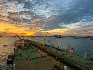 2020 Bulkers appoints new CEO as company shifts to offshore operations