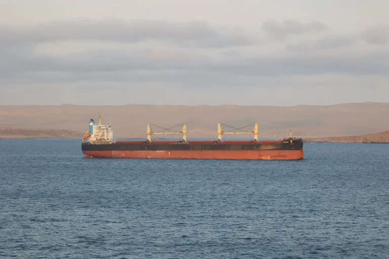 Wisdom Marine moves to sell two Handysize bulk carriers