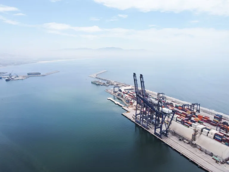 Sea-Intelligence: Liner Networks Getting More Specialized