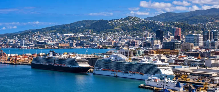 Wellington cruise bookings point to recovery in coming seasons